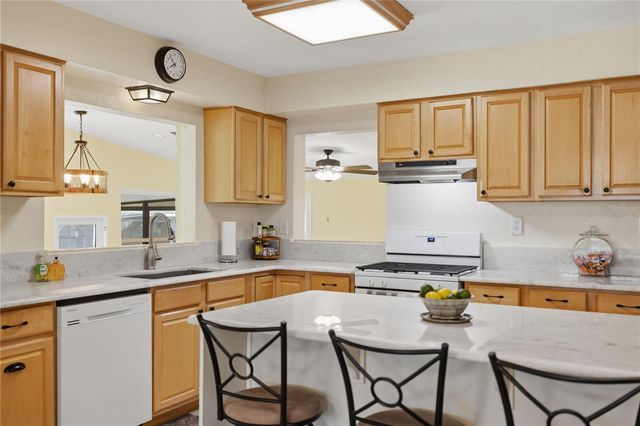 2314 N GRIFFIN DRIVE, Leesburg, FL 34748