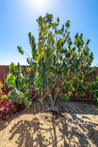 2143 Flint, Escondido, CA 92027