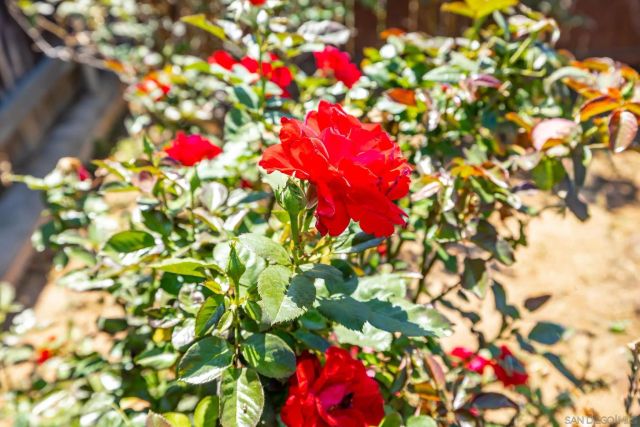 2143 Flint, Escondido, CA 92027