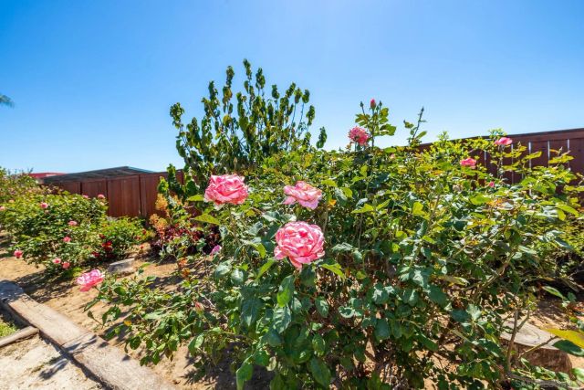 2143 Flint, Escondido, CA 92027