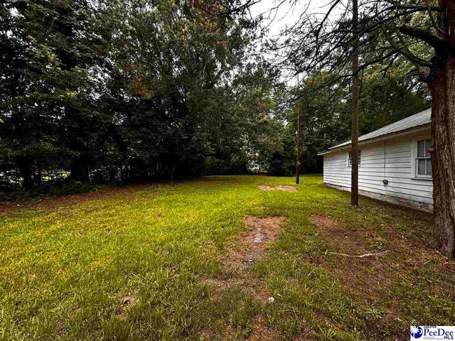 116 Reid St, Darlington, SC 29532