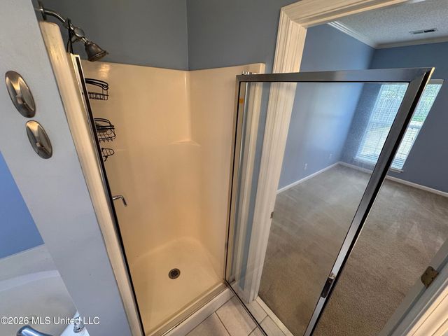 593 N Classic Drive, Hernando, MS 38632