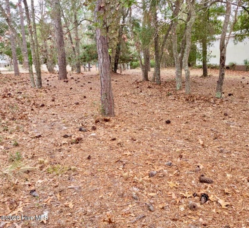 3317 Marlin Drive SE, Bolivia, NC 28422