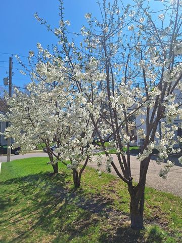 613 11th Street SE, Rochester, MN 55904