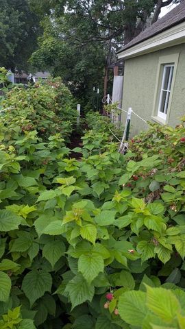 613 11th Street SE, Rochester, MN 55904