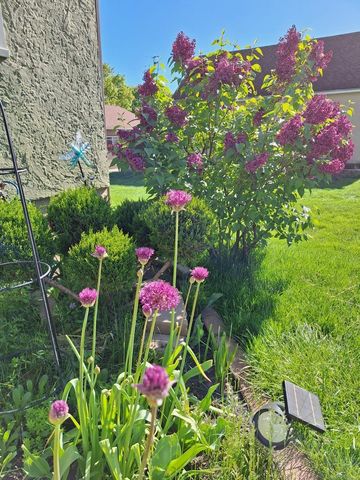 613 11th Street SE, Rochester, MN 55904