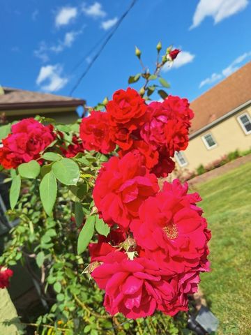 613 11th Street SE, Rochester, MN 55904