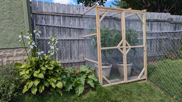 613 11th Street SE, Rochester, MN 55904