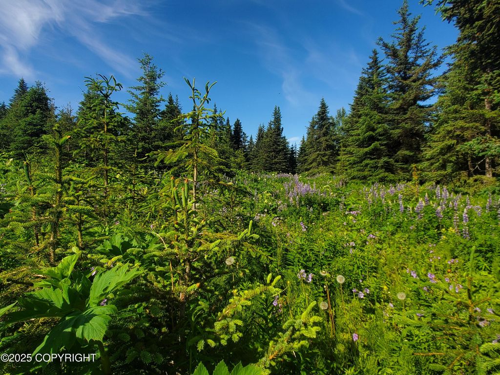 17617 Kimeluk Street, Ninilchik, AK 99639