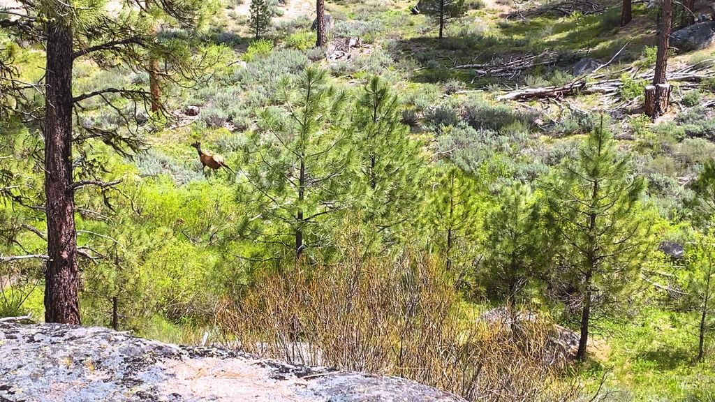 TBD1 Harris Creek Rd, Idaho City, ID 83631 photo 10