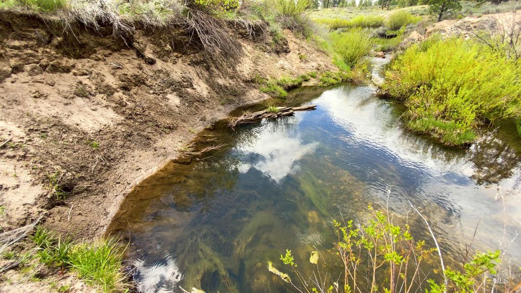 TBD1 Harris Creek Rd, Idaho City, ID 83631 photo 4