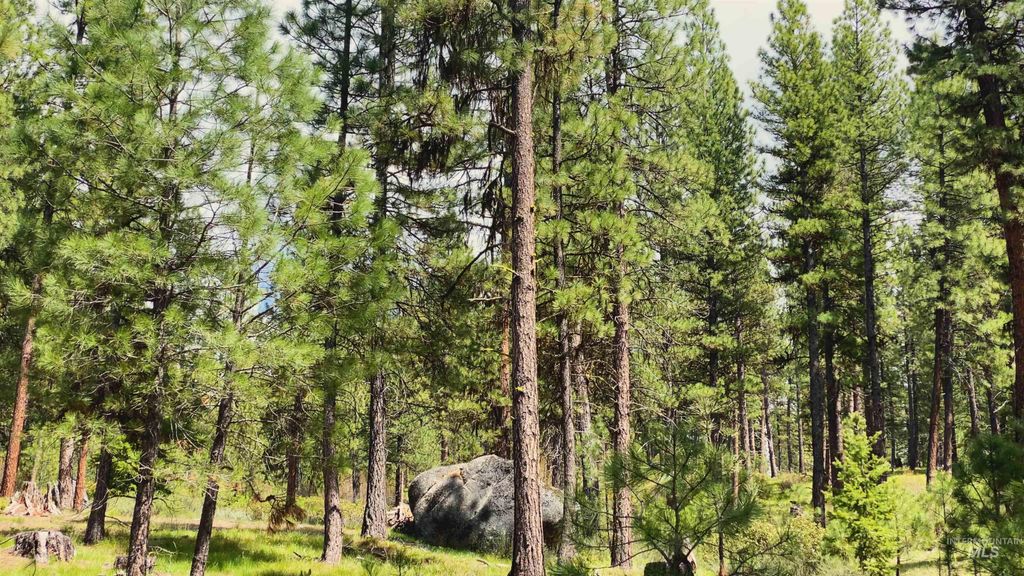 TBD1 Harris Creek Rd, Idaho City, ID 83631 photo 7