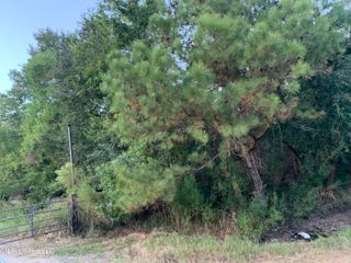 Asmard Street, Pass Christian, MS 39571