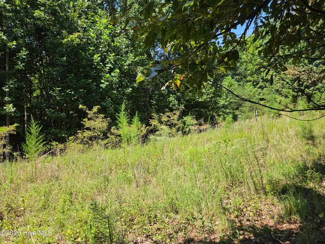 Lot 69 Collins Court, Murphy, NC 28906