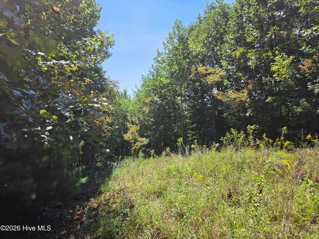 Lot 69 Collins Court, Murphy, NC 28906