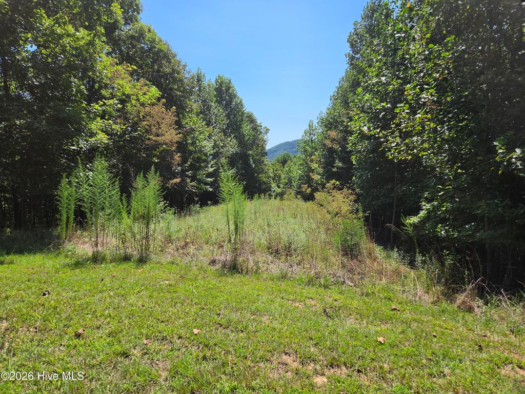 Lot 69 Collins Court, Murphy, NC 28906