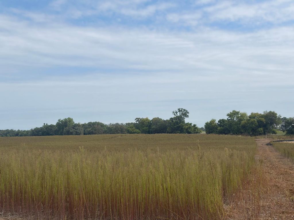 TBD (L14-SM East) Yellowpine Court NW, Isanti, MN 55040 — photo 2