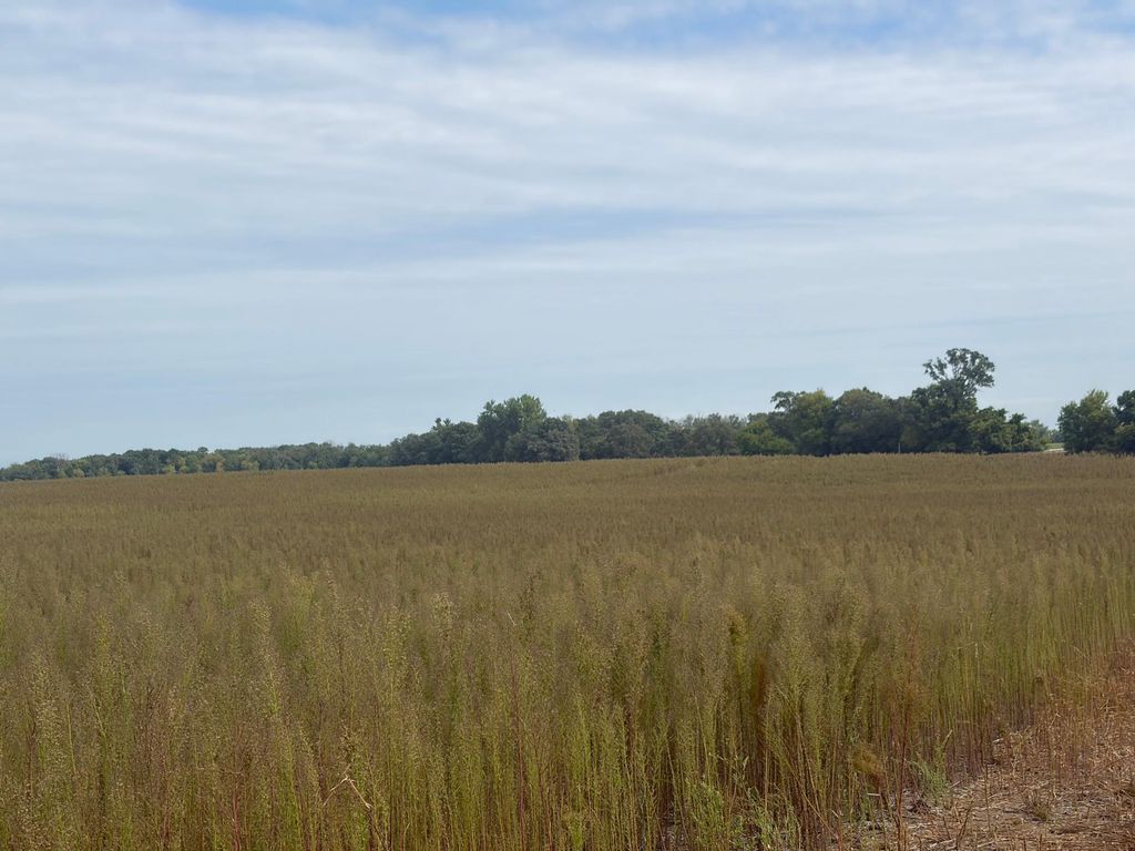 TBD (L14-SM East) Yellowpine Court NW, Isanti, MN 55040 — photo 3