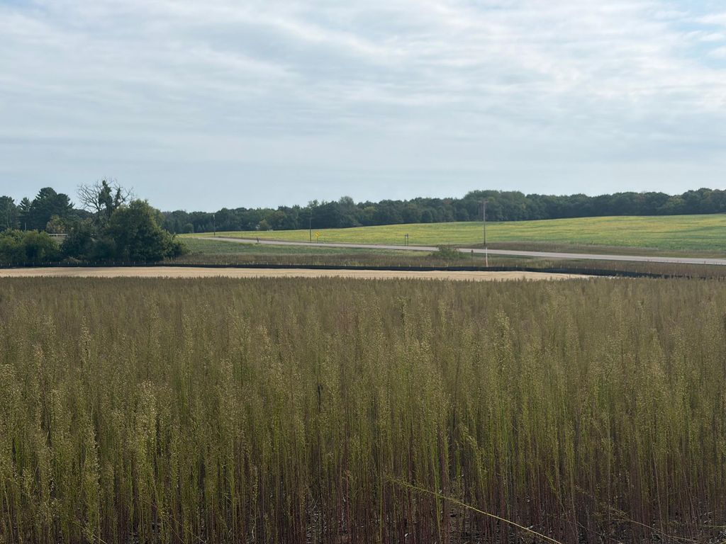 TBD (L14-SM East) Yellowpine Court NW, Isanti, MN 55040 — photo 4