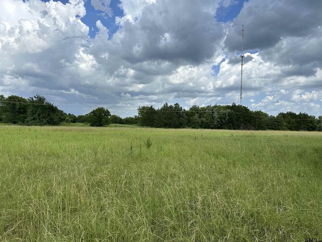 3697 An County Road 309 Tract 2 A South Tract, Frankston, TX 75763