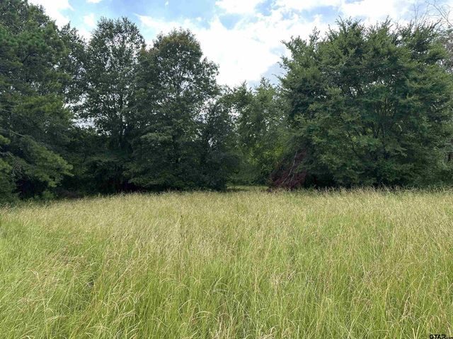 3697 An County Road 309 Tract 2 A South Tract, Frankston, TX 75763