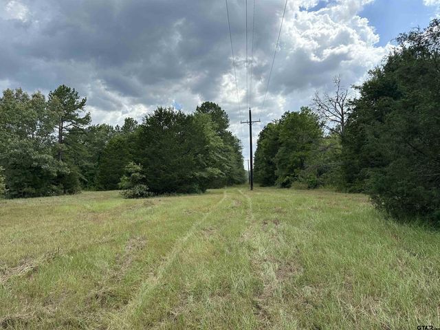 3697 An County Road 309 Tract 2 A South Tract, Frankston, TX 75763