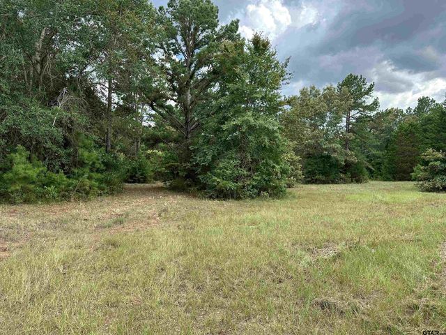 3697 An County Road 309 Tract 2 A South Tract, Frankston, TX 75763