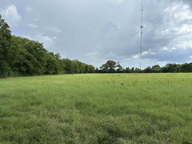 3697 An County Road 309 Tract 2 A South Tract, Frankston, TX 75763