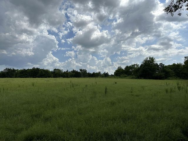 3697 An County Road 309 Tract 2 A South Tract, Frankston, TX 75763