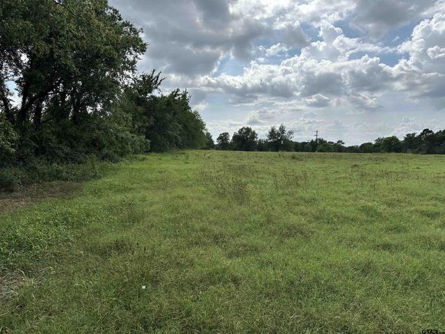 3697 An County Road 309 Tract 2 A South Tract, Frankston, TX 75763
