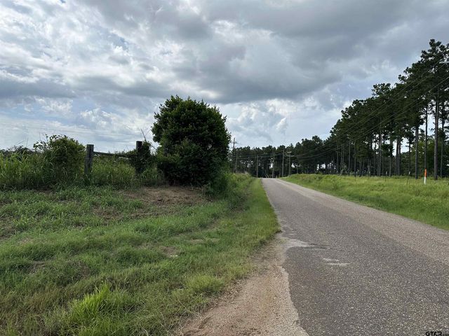 3697 An County Road 309 Tract 2 A South Tract, Frankston, TX 75763