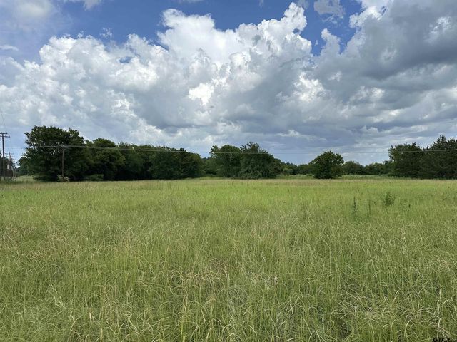 3697 An County Road 309 Tract 2 A South Tract, Frankston, TX 75763