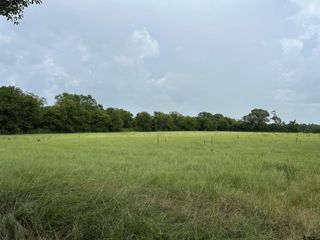 3697 An County Road 309 Tract 2 A South Tract, Frankston, TX 75763