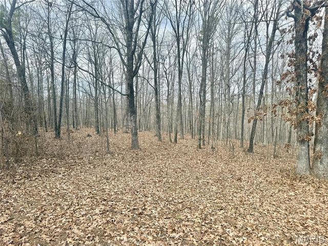 3230 E Highway 72, Fredericktown, MO 63645