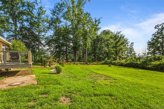 13937 Roanoke, Cottondale, AL 35453