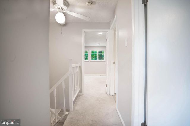 8015 STEEPLE CHASE CT, Springfield, VA 22153