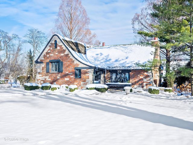 231 S Arlington Avenue, Elmhurst, IL 60126