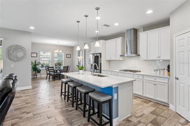 4124 CADENCE LOOP, Land O Lakes, FL 34638