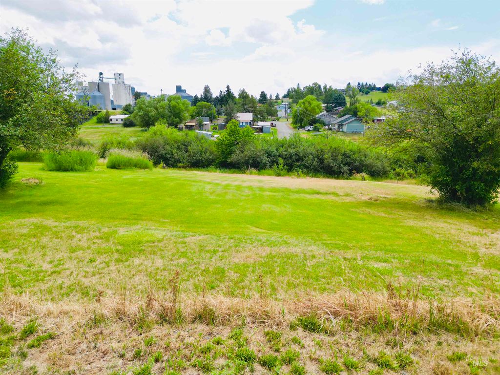 809 Trestle Drive, CottonWood, ID 83522