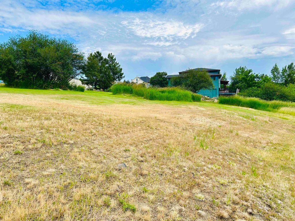 809 Trestle Drive, CottonWood, ID 83522 photo 7