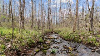 6455 Highway 48, N, Cumberland Furnace, TN 37051