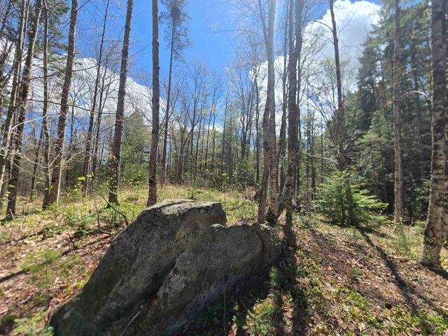 3148 Route 11, Londonderry, VT 05148