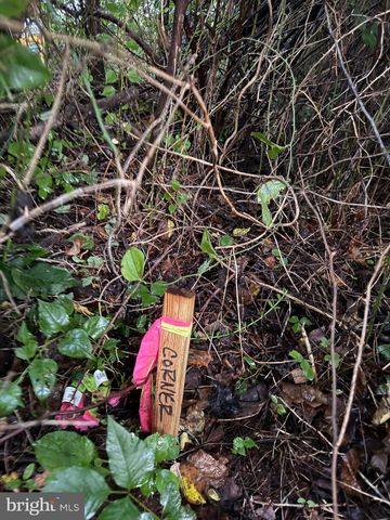 0 NOVUM RD #E, Reva, VA 22735