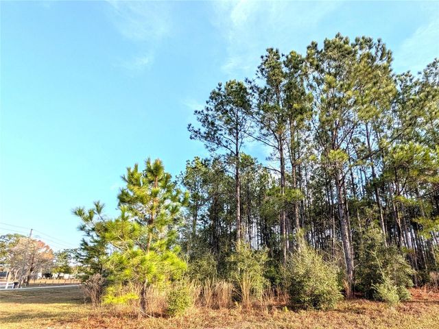 143 S KENSINGTON AVENUE, Lecanto, FL 34461