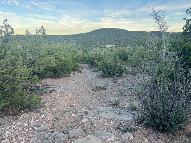 23 Canon Escondido, Sandia Park, NM 87047