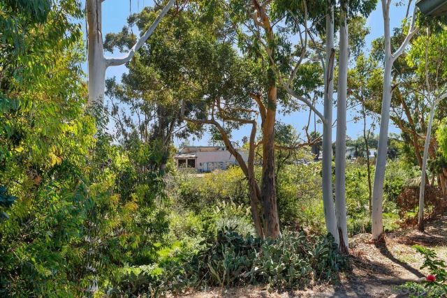 4647 Pico Street 205, San Diego, CA 92109