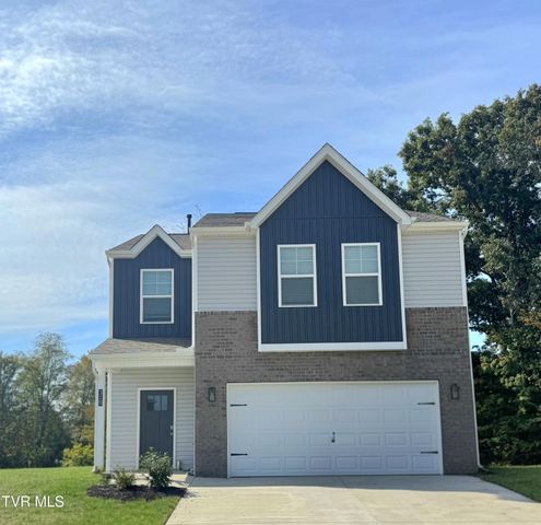 216 Artist Avenue, Johnson City, TN 37615