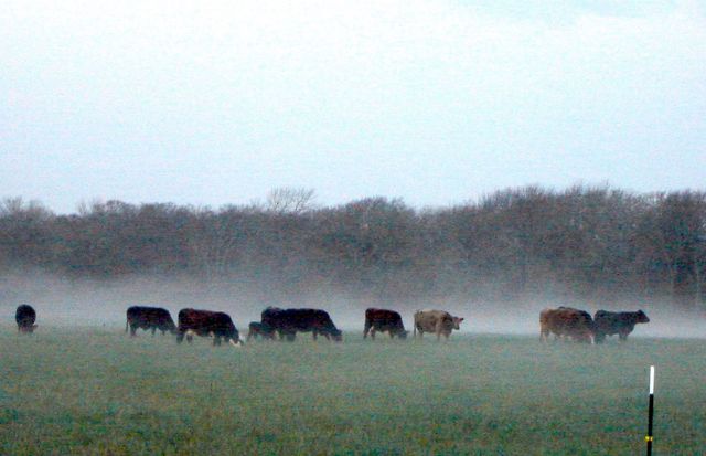 10+ ac. LCR 102 Road, Axtell, TX 76673