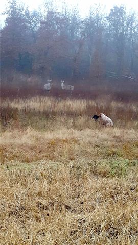 10+ ac. LCR 102 Road, Axtell, TX 76673