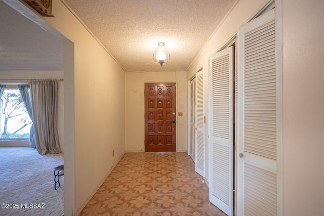 3923 W Thompson Road, Elfrida, AZ 85610